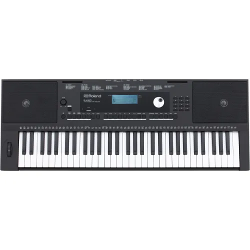 Roland EX-20 Arranger Keyboard